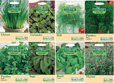 £1.89 • Buy  Herbs Seeds Thyme Sage Parsley Dill Coriander Chives Basil Vegetable Gardn