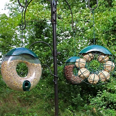 Hanging Wild Bird Feeder 3pcs Seed Nut Fat Ball Garden Feeding Station Donut • £13.99
