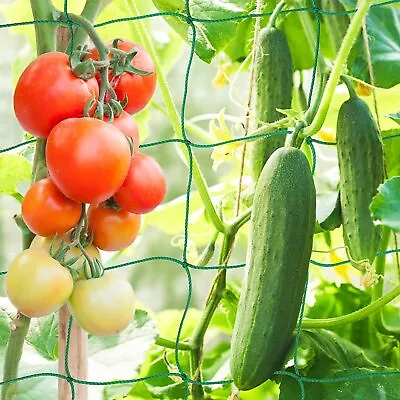 £7.38 • Buy Plant Support Mesh Garden Net Vegetable Fruit Climbing Netting Pea Bean Trellis