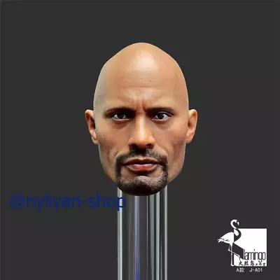 1/6 Male Beard Dwayne Johnson Head Sculpt Carved Model For 12 PH TBL Figure Body • $37.59