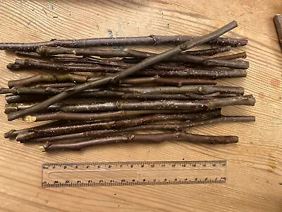 Organic English Orchard Apple Wood Sticks 50g-1kg Rabbit Small Animal Chew • £3.55