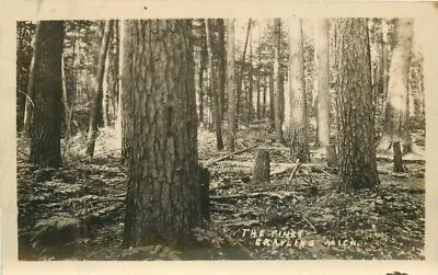 Michigan Grayling The Pines Logging Lumber C-1910 RPPC Photo Postcard 22-5722 • $17.74