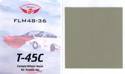 Flying Leathernecks Decals 1/48 T-45C GOSHAWK Canopy & Wheel Paint Mask Set • $4.99