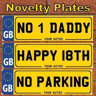 Personalised Novelty Number Plate Private Reg Birthday Wedding Kids Ride On • £6.79