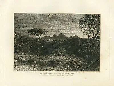 £820.09 • Buy Samuel Palmer Original Etching For Eclogues Of Virgil -  Opening The Fold 
