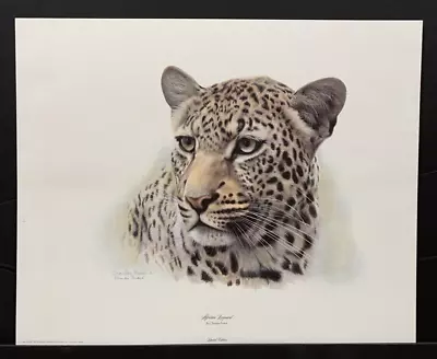 Charles Frace Limited Edition Signed Print  African Leopard  (Head) • $59.95