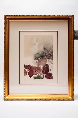 G.H Rothe - Bougainvillea - 1981 - Mezzotint - 126/150 - SIGNED • $3500