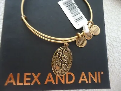 $22.66 • Buy Alex And Ani Because I Love You GRANDDAUGHTER II Russian Gold Bangle New W/ Box