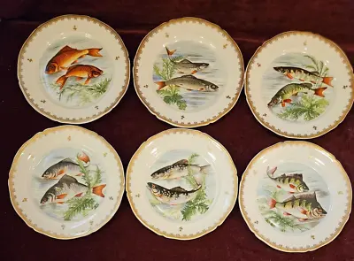 France Hand Painted Set Of 6 Fish Plates 7-1/2  Scalloped Gold Trim • $79.99