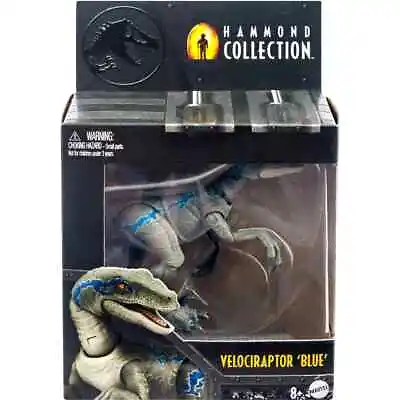 Jurassic World Hammond Collection Velociraptor Blue Action Figure • $29.99