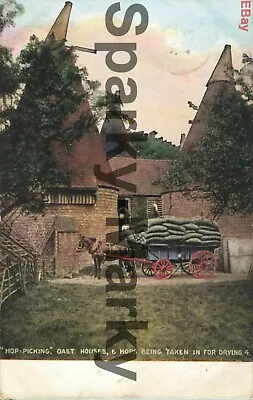  Hop Picking  Oast Houses & Hops Being Taken In For Drying Vintage Postcard K01 • £4