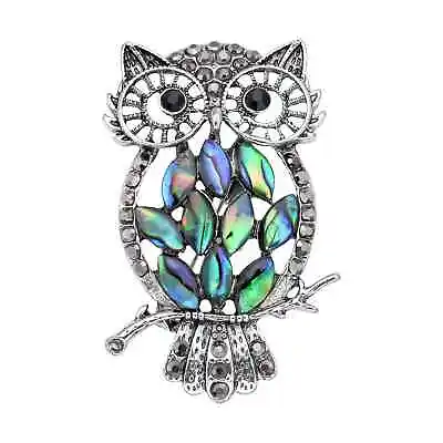 Abalone Shell Grey Black Crystal Owl Brooch In Silvertone Jewelry Gift • $15.38