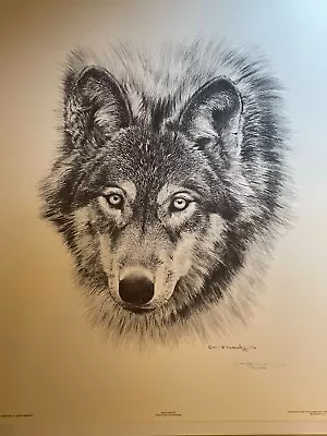 Carl Brenders Wolf Pencil Sketch 1587/2500 • $35