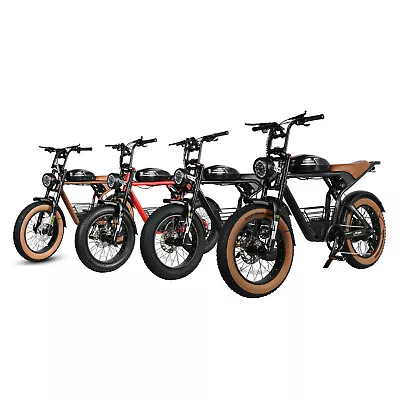 1000W 48V Fat Tire Electric Bicycles Ebikes Adult 20in 16AH Single Motor 45KM/Ht • $1709.99