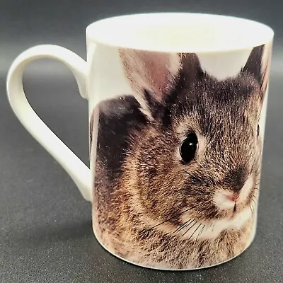 Botanical Discovery - No 76185 - Bunny Rabbit Fine Bone China Mug  • £8.99