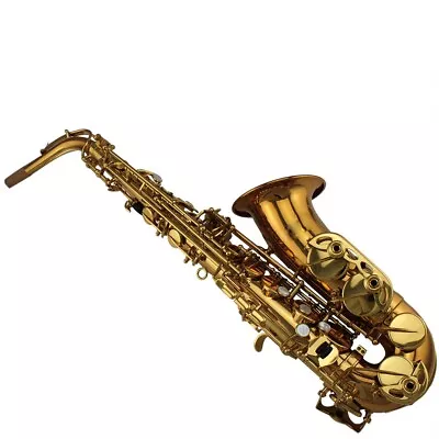 Eastern Music Gold German Copper Alto Saxophone Mark VI Type High Grade PC Case • $599