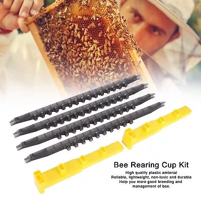 Bee Cell Cups Kit Queen Rearing Cultivating Queen Cage Beekeeping Supplies New • $13.88