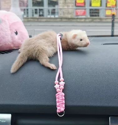 £11 • Buy 2 X Ferret Harness