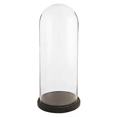 £84.99 • Buy Glass Display Cloche Bell Jar Dome Flower Preservation Dark Wooden Base 60cm