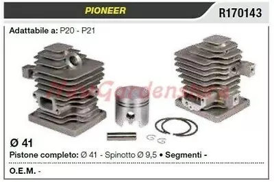 Piston Cylinder Segments Pioneer Chainsaw P20 P21 R170143 • $364.31