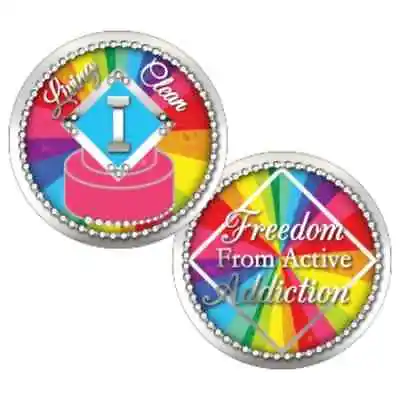 YRS 1-30 Blank 24hr &18 Mos. NA Recovery Coin/Medallion/NA Rainbow/Pride • $21.99