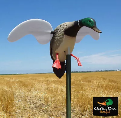 Mojo Outdoors Baby Mojo Mallard Drake Motorized Spinning Magnetic Wing Decoy  • $79.90