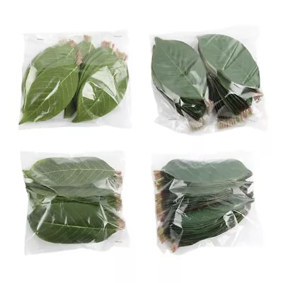 Artificial Green Magnolia Leaves Pack Of 50 For Wedding Decor Home Decor • $10.77