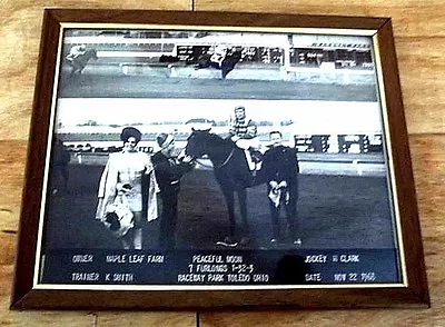 RARE 1968 Raceway Park Toledo Ohio Framed Horse Racing Picture-Peaceful Moon • $9.98