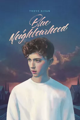 Troye Sivan Celebrity Movie Actor Musician Wall Art Home Decor - POSTER 20x30 • $23.99