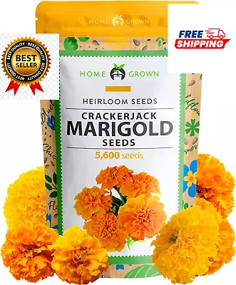 Marigold Seeds Bulk Mix 5600+Crackerjack Marigold Flower Seeds For Planting Outd • $14.10