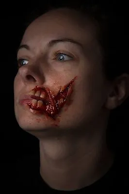 Walking Dead Zombie Mouth Prosthetic Cosplay Halloween • £19.90