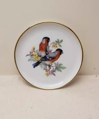 Vintage AK Kaiser Coaster/Plate W/ Bullfinch Birds 4  • $10