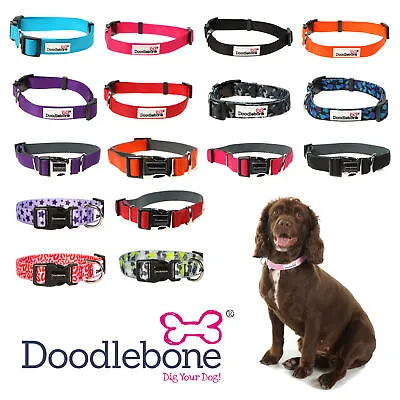 Doodlebone Dog Collars Bold Durable Nylon Adjustable Puppy 3 Sizes 11 Colours • £5