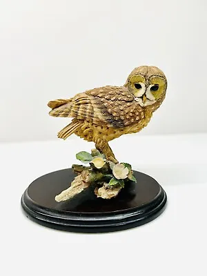 Country Artists Owl - Damaged • £12