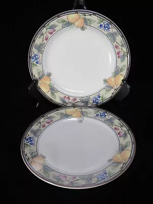 Garden Harvest ~ 2 MIKASA Intaglio CAC29 Oven - Table 8½   Salad Plates EUC • $15