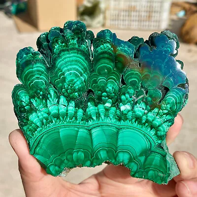 319G Natural Malachite Slice Quartz Crystal Luster Mineral Specimen • $10.57