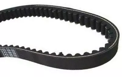 Transmission Drive Belt M150-1033000 Hammerhead Twister 150 150cc Go Kart Cart • $23.59