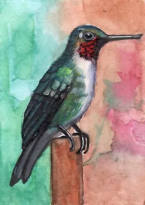 ACEO Original Art Card Hummingbird Bird Garden Acrylic 100% Hand Painting • $0.01