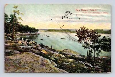 New Haven Connecticut Connct Mansfield's Cove Postcard 1908 • $8.50