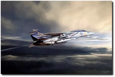 Chasing Light By Peter Chilelli - Grumman F-14 Tomcat - Aviation Art Print • $110