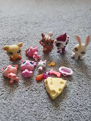 Littlest Pet Shop Bundle • £2