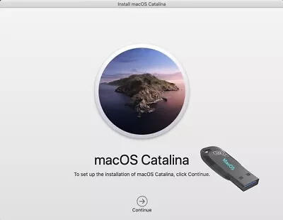 MacOS 10.15 Catalina Installer Bootable USB Recovery Upgrade Reinstall Service • $25