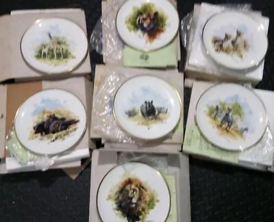 David Shepherd Wildlife Collection Limited Edition Plates - Set Of 7 Boxed COA • £27.99