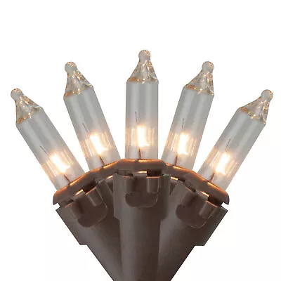$8.49 • Buy Northlight 10 Count Clear Mini Christmas Light Set, Brown Wire