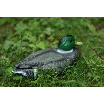 Artificial Floating Fake Male Duck Mallard Hunting Decoy Pool Yard Decor • £7.90