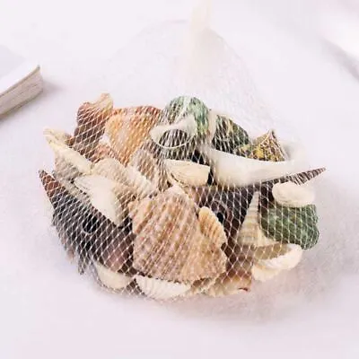 Bag Of Assorted Sea Shells - Natural Mixed Bag Value Beach Craft Aquarium • £4.49