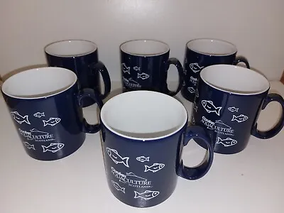 6 Mugs Colour  Navy Blue Nautical Theme Cooke Aquaculture Scotland Fish Vgc • £15.85