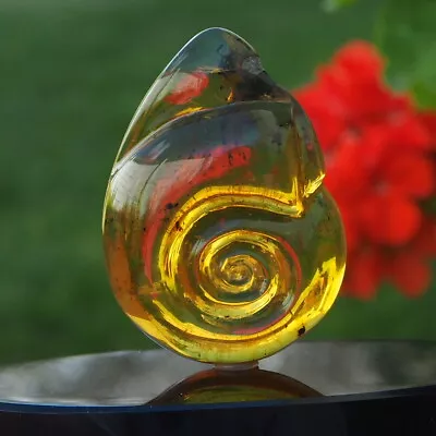 Mexican Amber Ammonite Carving G • $160