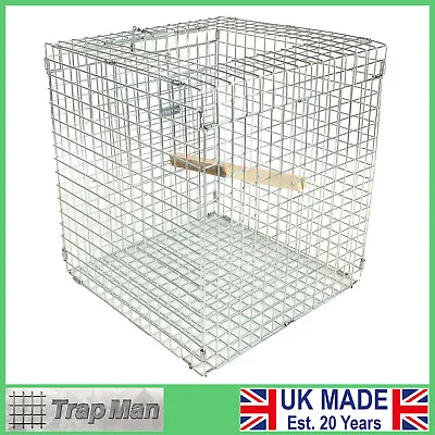 Larsen MATE Magpie CAGE Trap Brand New Unused UK Made TrapMan  Magpie Trap • £55.98