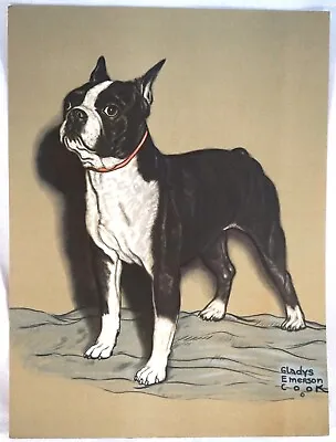 Vintage Print By Gladys Emerson Cook Boston Terrier 12 By 16  • $39.99